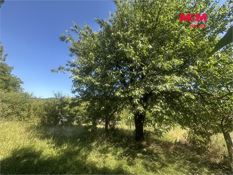 Prodej zahrady, 901 m² 10