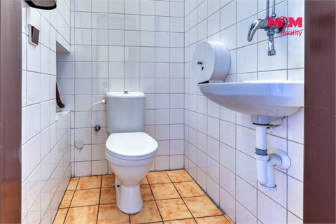 Pronájem obchodních prostor, 30 m² - 6