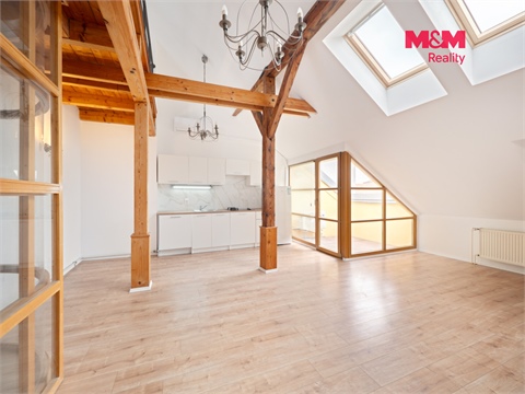 Pronájem bytu 3kk, 104 m² - 0