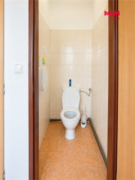 Pronájem obchodních prostor, 405 m² - 22