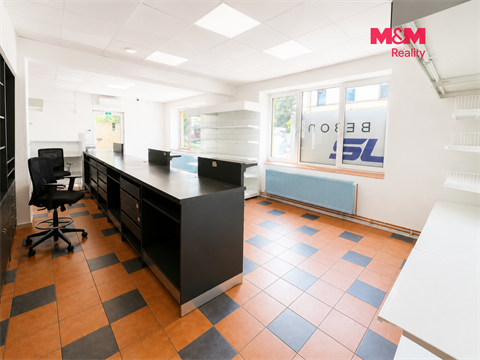 Pronájem obchodních prostor, 405 m² - 16