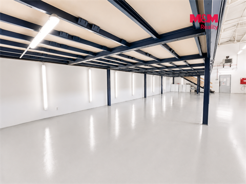 Pronájem obchodních prostor, 405 m² 6