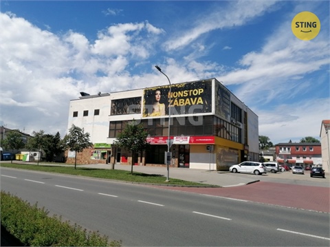 Pronájem obchodních prostor, 845 m² - 8