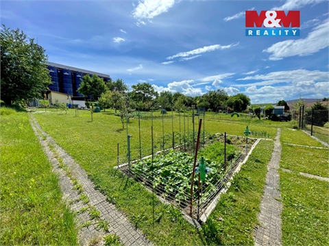 Prodej zahrady, 385 m² 6
