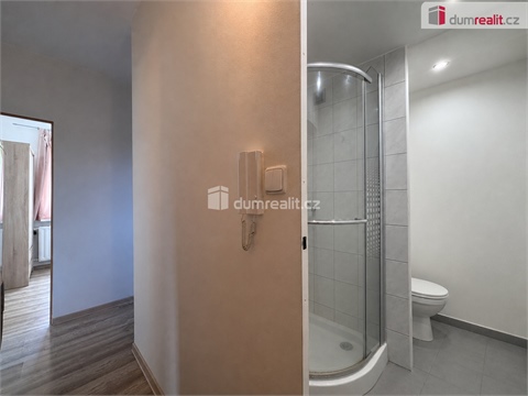 Prodej bytu 1+1, 36 m² 4