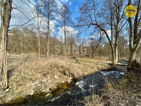 Pronájem rodinného domu, 170 m² - 12