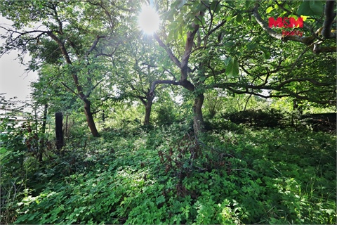 Prodej rodinného domu, 100 m² - 20