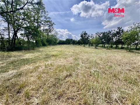 Prodej zahrady, 832 m² 8