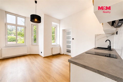 Prodej bytu 3kk, 55 m² - 10