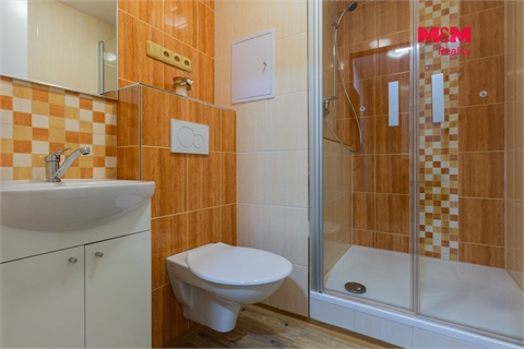 Prodej bytu 2+1, 45 m² - 6