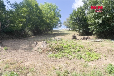 Prodej zahrady, 601 m² - 2