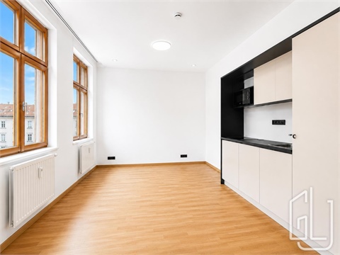Pronájem bytu 1kk, 23 m² 4
