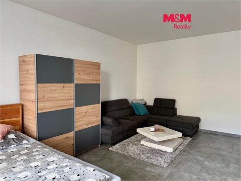 Pronájem bytu 1+1, 48 m² 0