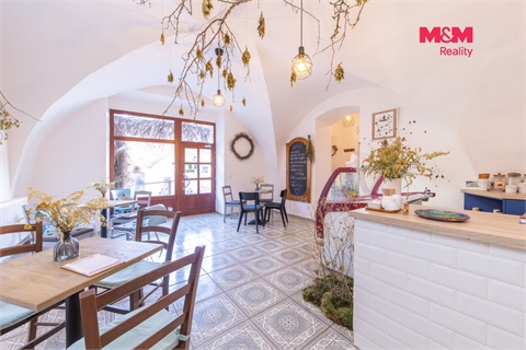 Prodej rodinného domu, 411 m² - 4