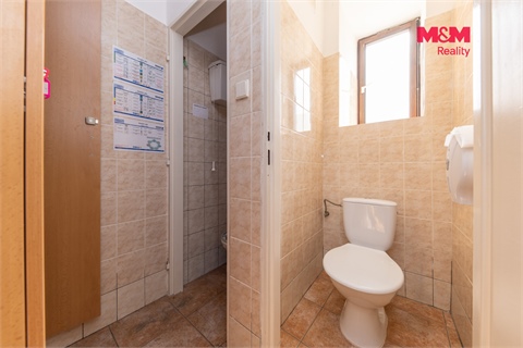 Prodej rodinného domu, 411 m² - 10