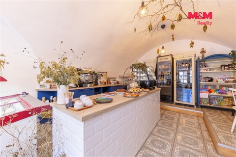 Prodej rodinného domu, 411 m² 6