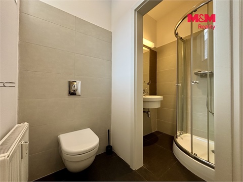 Pronájem bytu 1+1, 64 m² 6