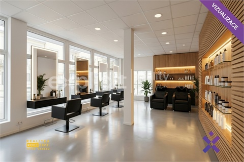Pronájem obchodních prostor, 75 m² 16