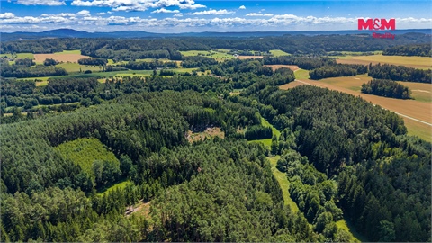 Prodej lesu, 57 919 m² - 8