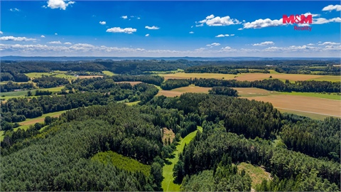 Prodej lesu, 57 919 m² 8