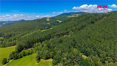 Prodej lesu, 57 919 m² - 0