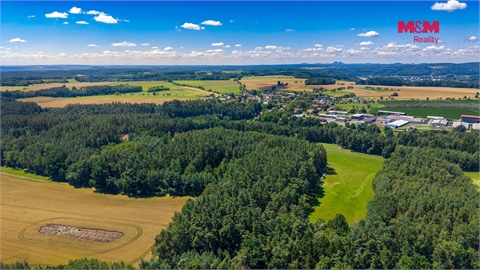 Prodej lesu, 57 919 m² - 2