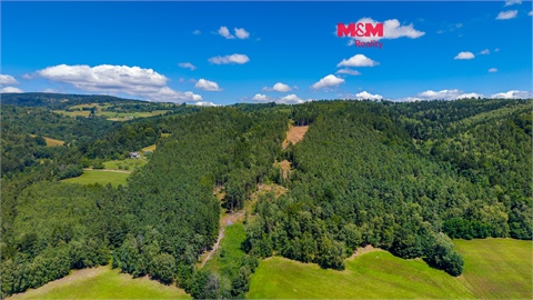Prodej lesu, 57 919 m² 0