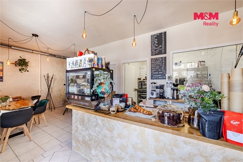Prodej rodinného domu, 330 m² 8
