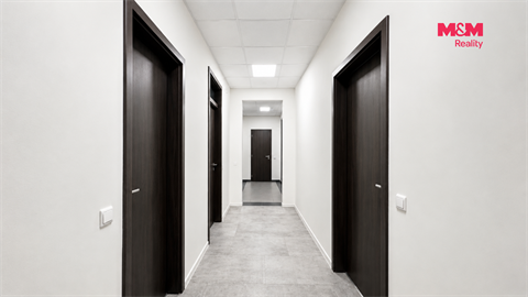 Pronájem bytu 3+1, 100 m² 8