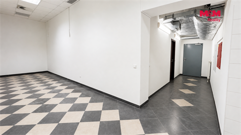 Pronájem obchodních prostor, 129 m² - 6