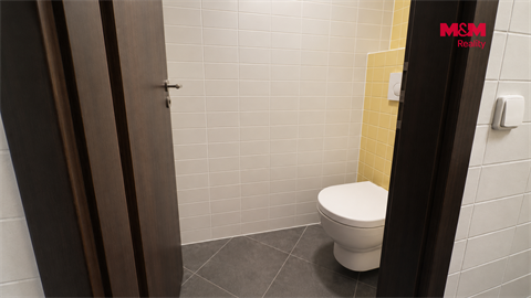 Pronájem obchodních prostor, 129 m² - 10