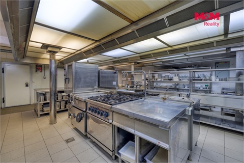 Prodej výrobního objektu, 8 700 m² - 16