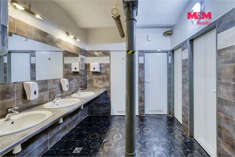 Prodej výrobního objektu, 8 700 m² 20