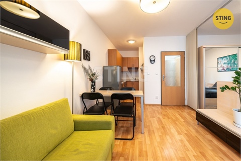 Prodej bytu 1kk, 30 m² 4