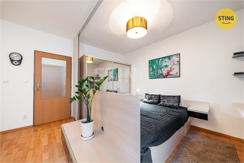 Prodej bytu 1kk, 30 m² 10