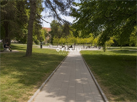Pronájem obchodních prostor, 200 m² - 10
