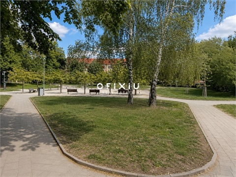 Pronájem obchodních prostor, 100 m² - 12