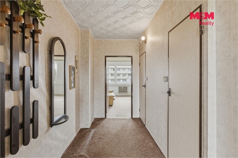 Prodej bytu 3+1, 68 m² 20
