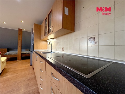 Prodej rodinného domu, 438 m² - 10