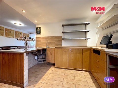 Prodej rodinného domu, 438 m² - 16