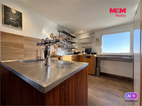 Prodej rodinného domu, 438 m² 18