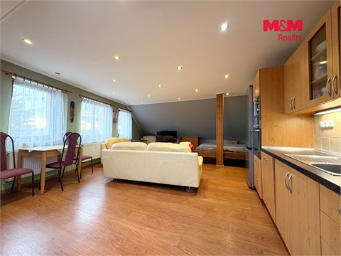 Prodej rodinného domu, 438 m² - 4