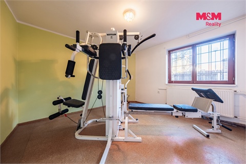 Pronájem rodinného domu, 220 m² - 24