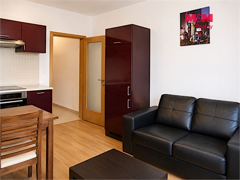 Prodej bytu 1kk, 32 m² 4