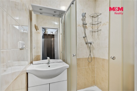 Prodej bytu 1+1, 52 m² 4