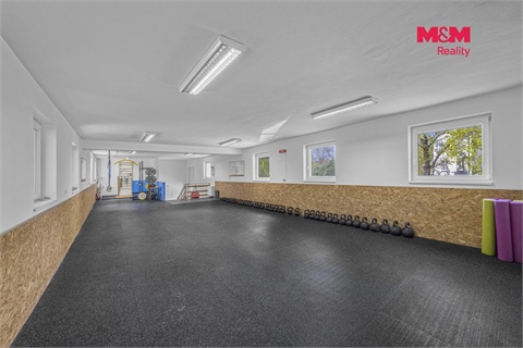 Prodej obchodních prostor, 195 m² - 2