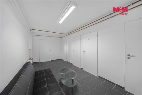 Prodej obchodních prostor, 195 m² - 6