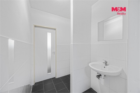 Prodej obchodních prostor, 195 m² 12