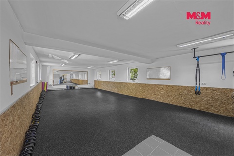Prodej obchodních prostor, 195 m² - 0