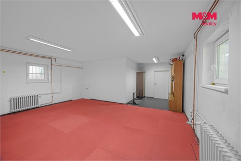 Prodej obchodních prostor, 195 m² - 18